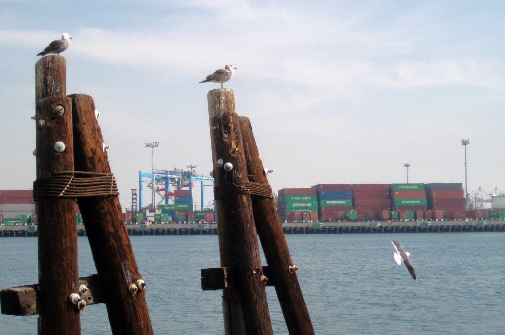 port of long beach green