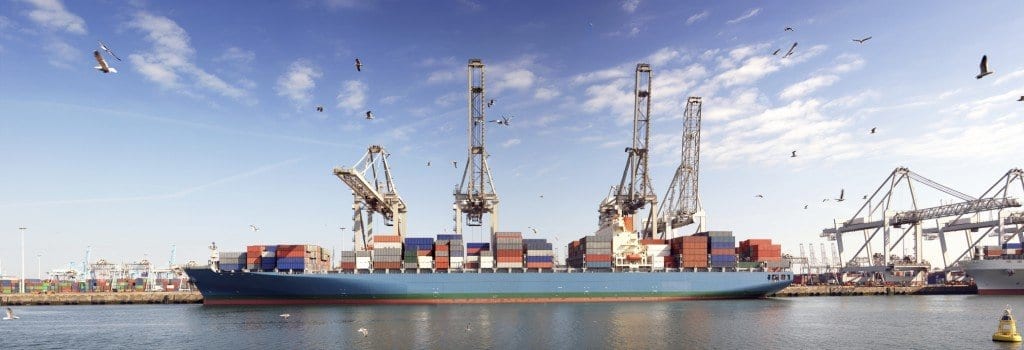 container ship at port with birds