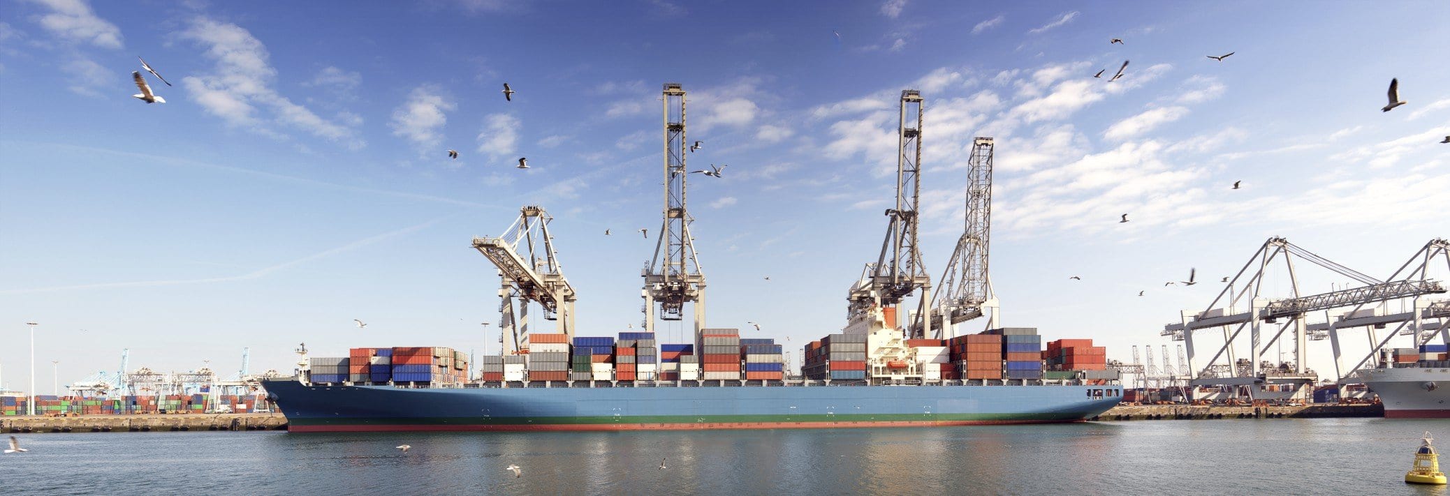 container ship at port with birds