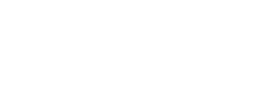 dedola-consulting-draft-v2-white