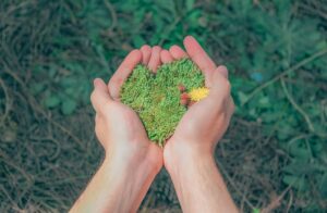 Two hands gently holding a heart-shaped patch of moss with small wildflowers.