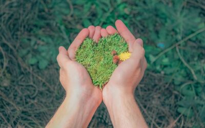 Powering Greener Trade